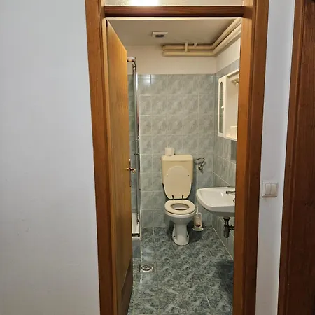 Zupnijski Apartmaji Daire *