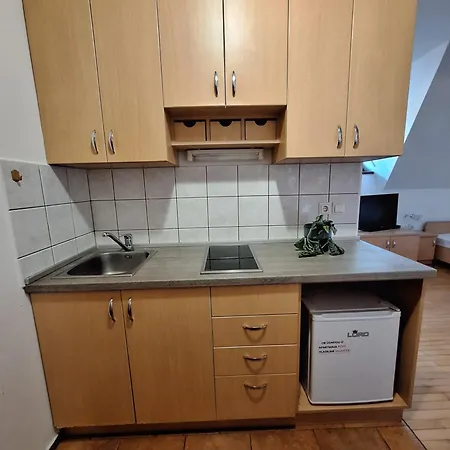 公寓 Zupnijski Apartmaji 多莱尼斯凯托普利采
