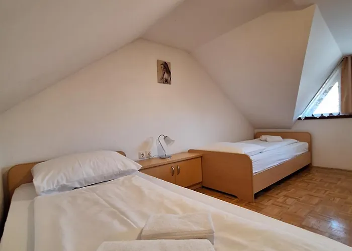 Zupnijski Apartmaji Dolenjske Toplice