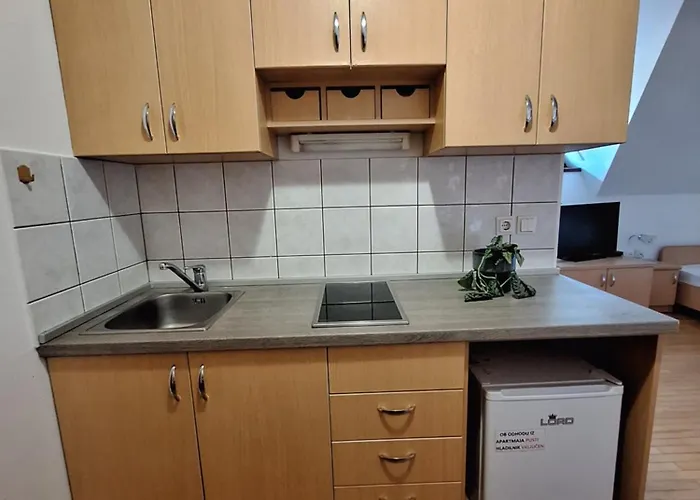 Appartamento Zupnijski Apartmaji Dolenjske Toplice
