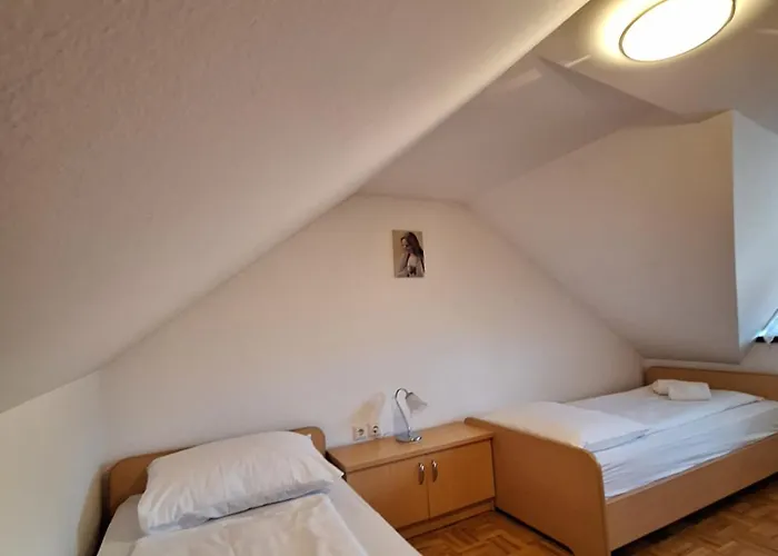 Zupnijski Apartmaji Appartamento