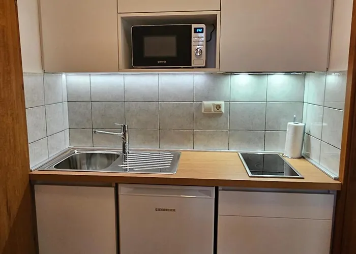 Zupnijski Apartmaji Dolenjske Toplice
